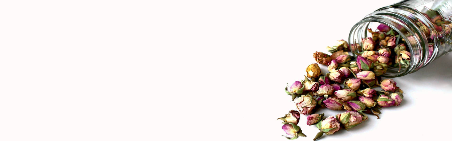 Rosas Persas